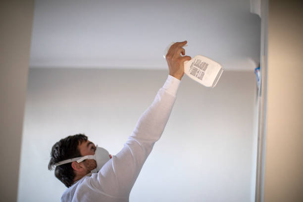 Best Bathroom Mold Remediation in Margate, FL