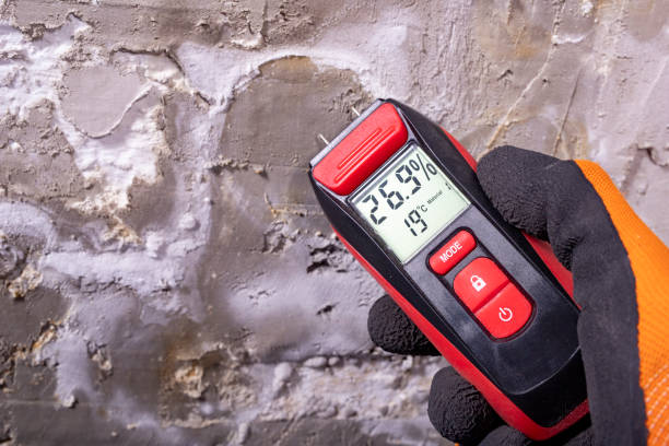 Best Attic Mold Remediation in Margate, FL