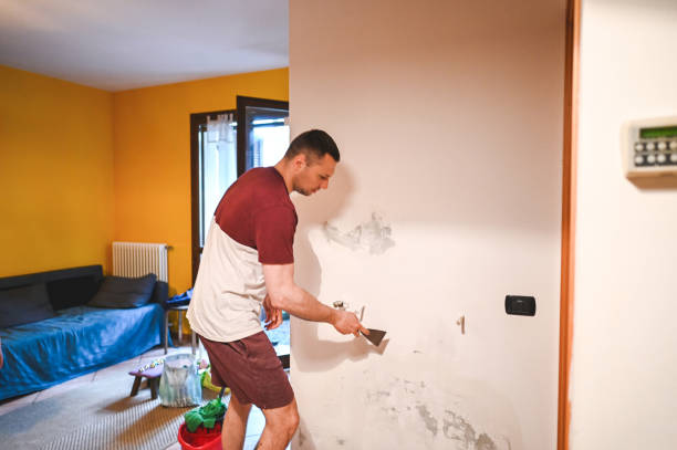 Best Commercial Mold Remediation in Margate, FL